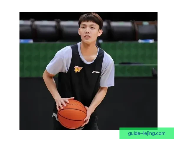 广东队进攻体系全面提速徐杰组织能力升级成为季后赛关键引擎核心